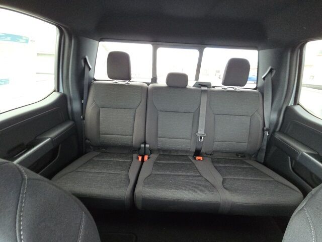 2025 Ford F-150 XLT Watertown SD 2025 Ford F-150 XLT Watertown SD