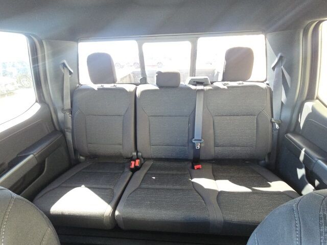 2025 Ford F-150 XLT Watertown SD 2025 Ford F-150 XLT Watertown SD