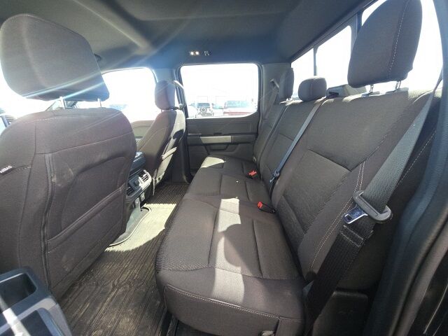 2025 Ford F-150 XLT Watertown SD 2025 Ford F-150 XLT Watertown SD