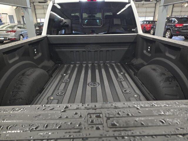 2025 Ford F-350 Super Duty Minocqua WI 2025 Ford F-350 Super Duty Minocqua WI