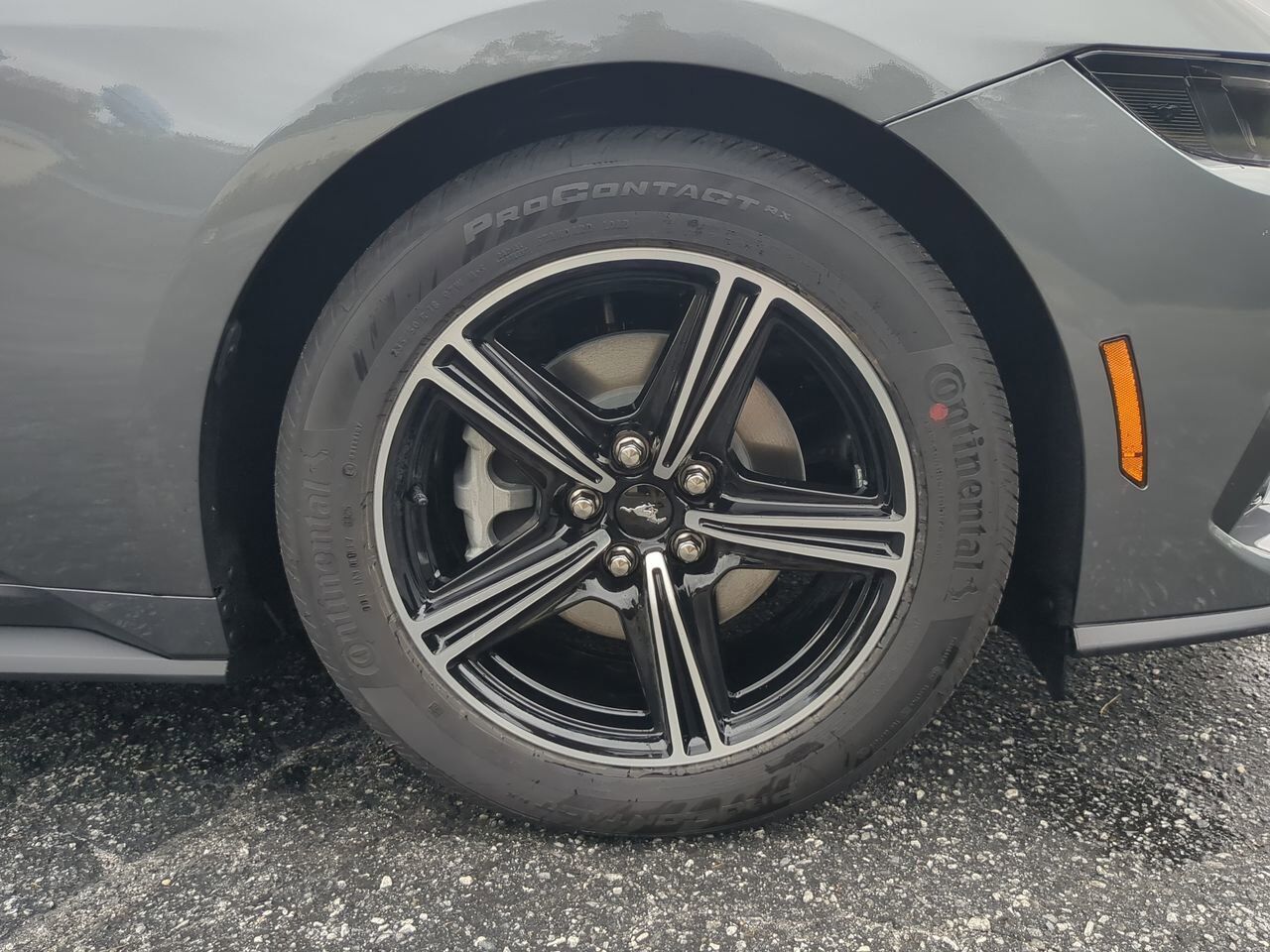 2025 Ford Mustang EcoBoost Appleton WI