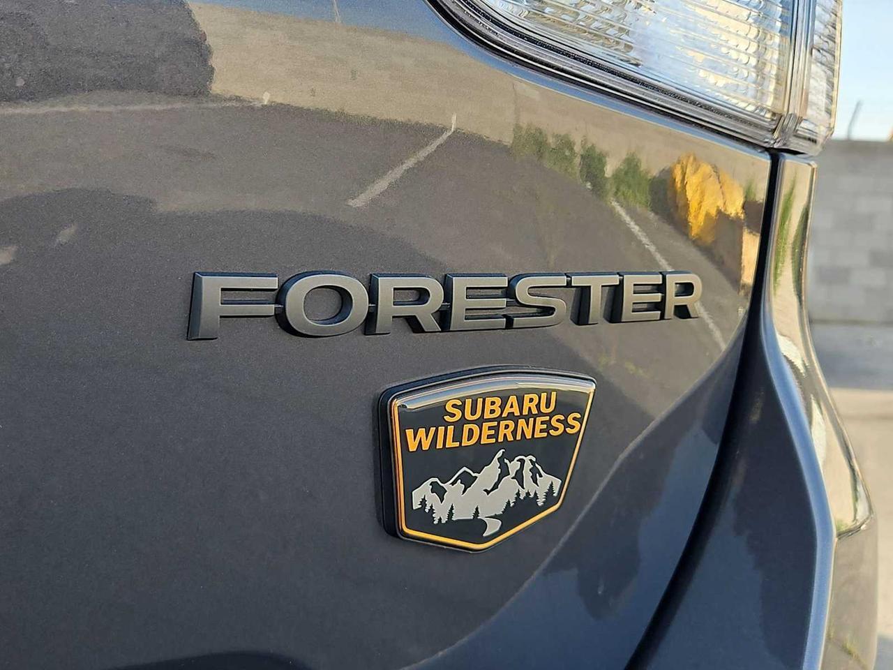2025 Subaru Forester Wilderness Irving TX