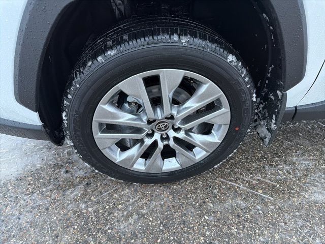 2025 Toyota RAV4 Limited San Clemente CA