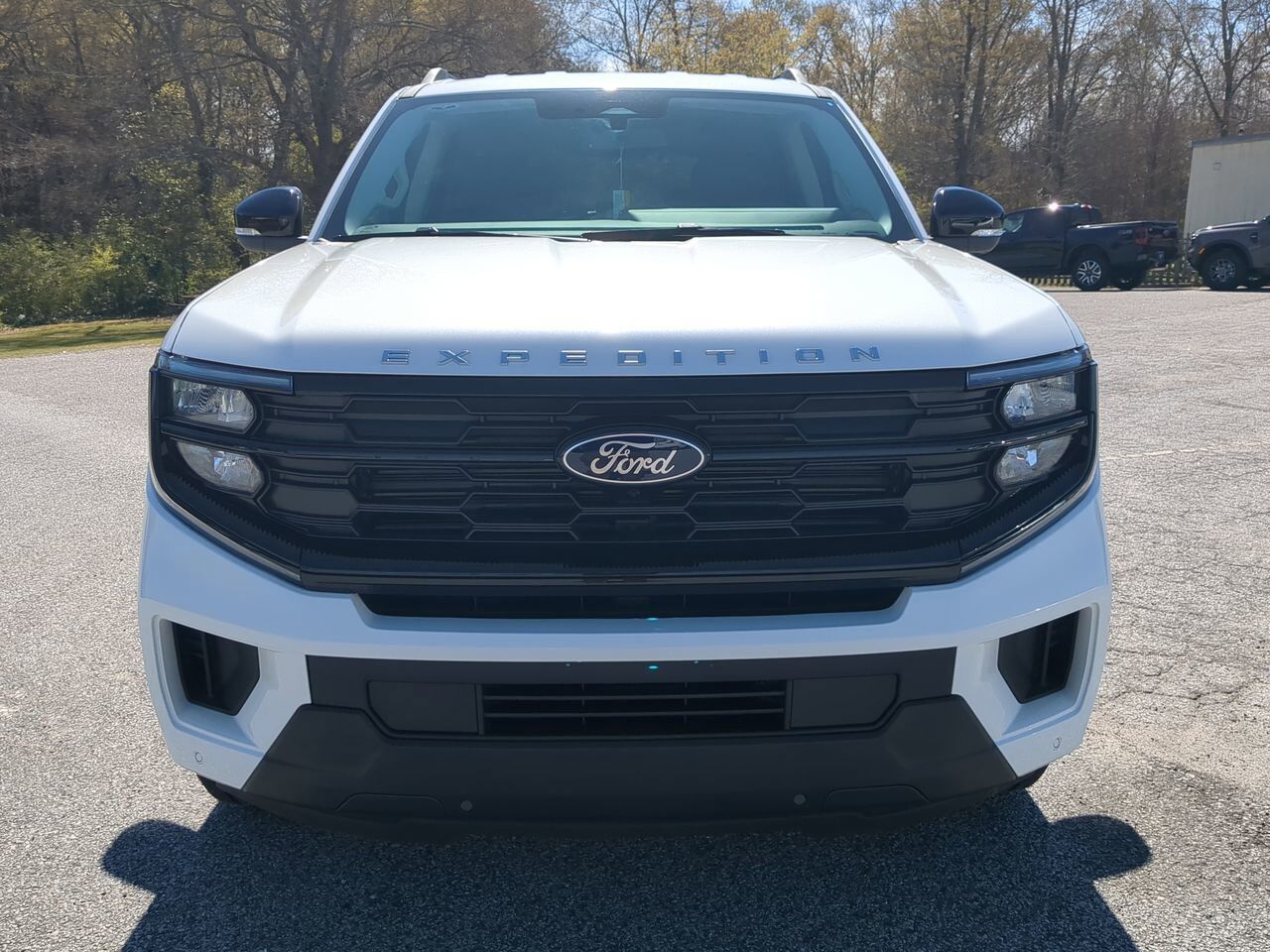 2026 Ford Expedition Active Appleton WI