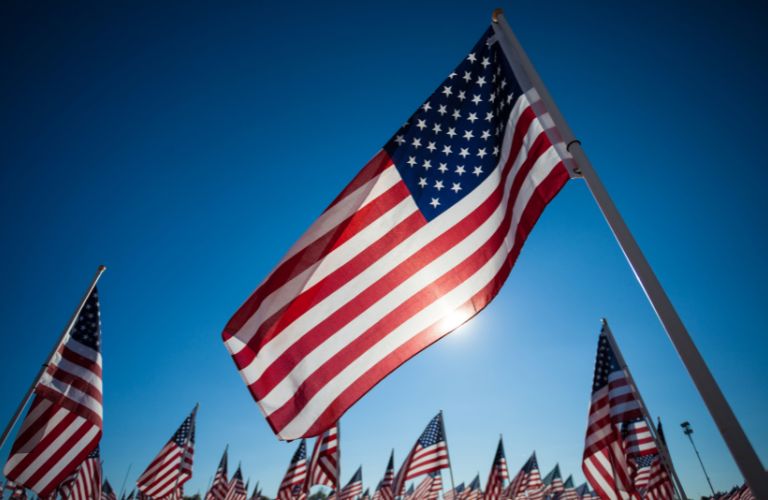 A bunch of American flags