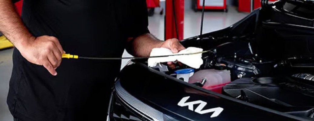 a technician checking the oil level of a Kia car