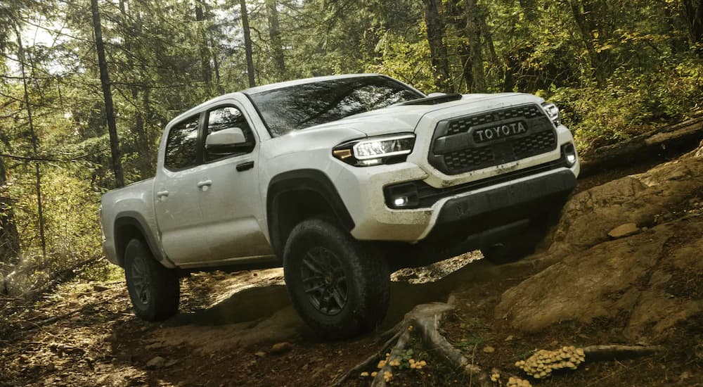 White 2021 Toyota Tacoma off-roading on a steep forest trail