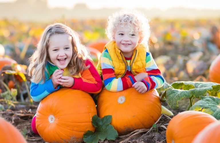 Kids picking pumpkin