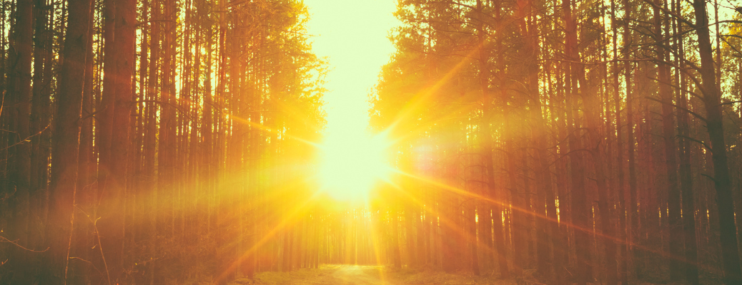 Sun light during Spring