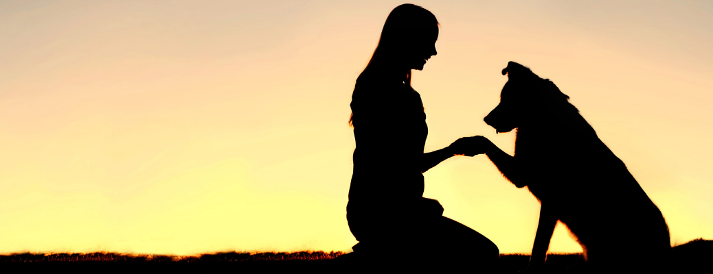 A dog with a woman during the sunset