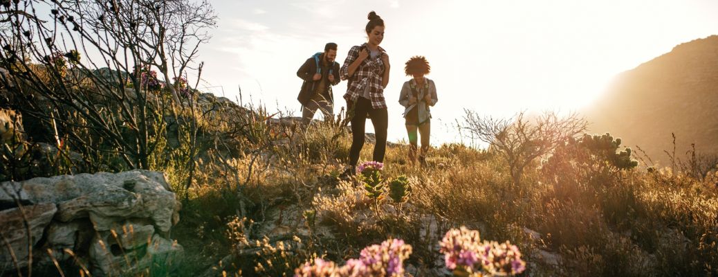 Hike trail