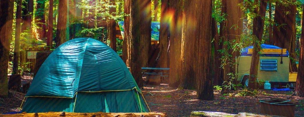 Tents in a forest