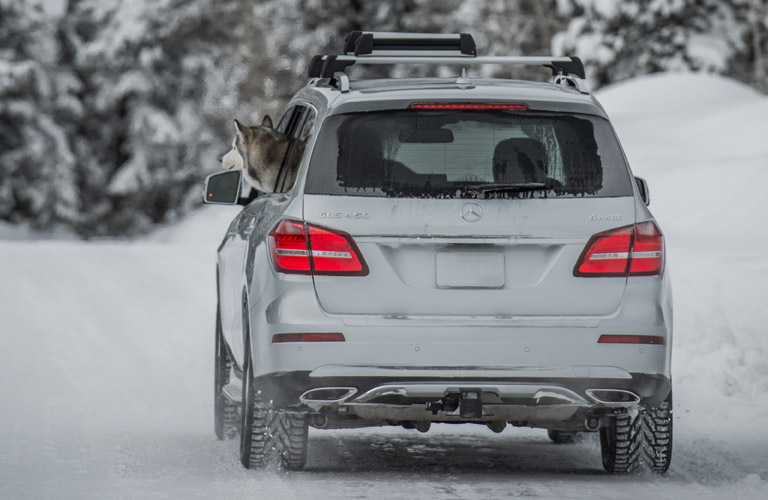 A dog looking from the 2017 Mercedes-Benz GLS window 