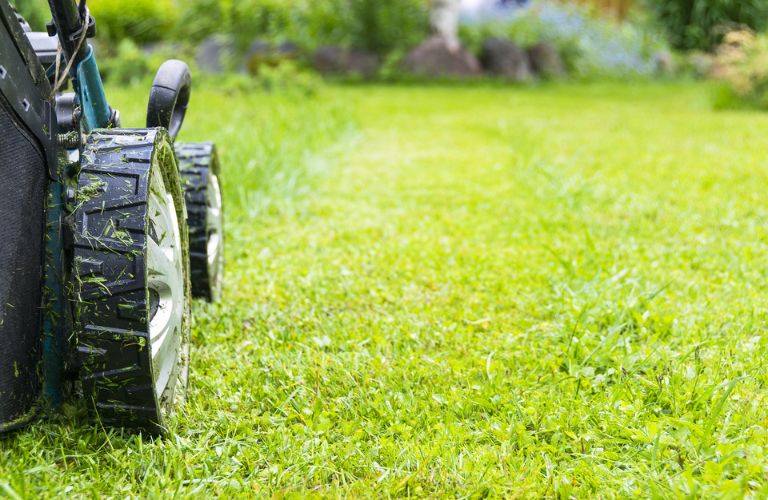 Landscaping mower on grass