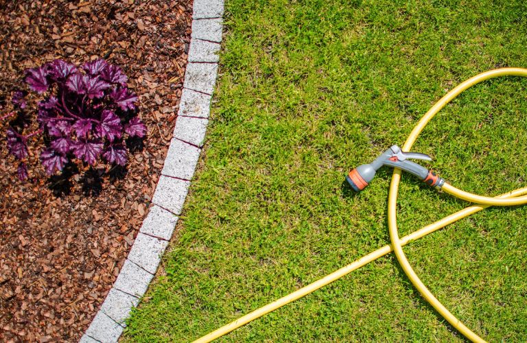 water hose on a landscaped ground
