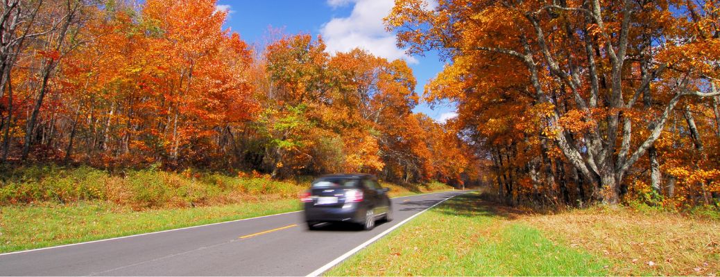 front view of a vehicle on an open road with trees at both sides