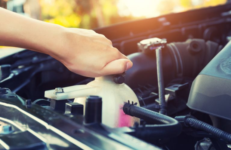 Mechanic checking the coolant level of vehicle