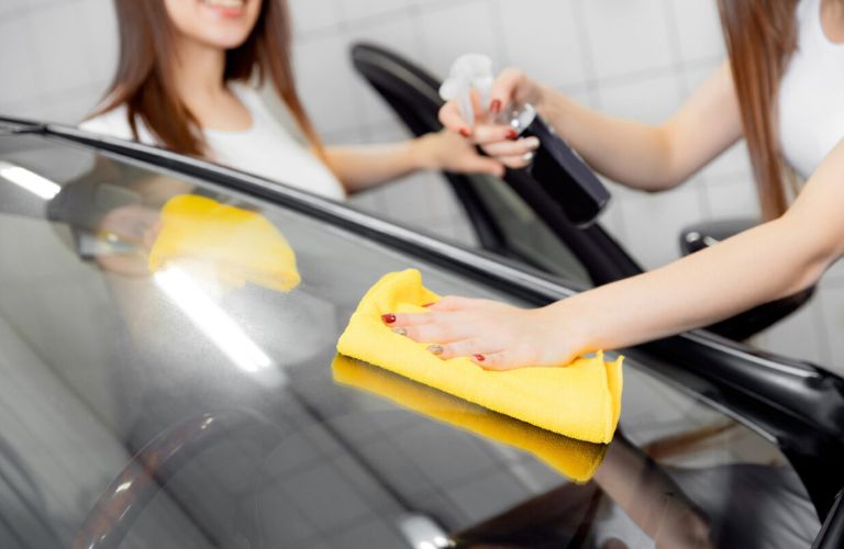 Person cleaning a car