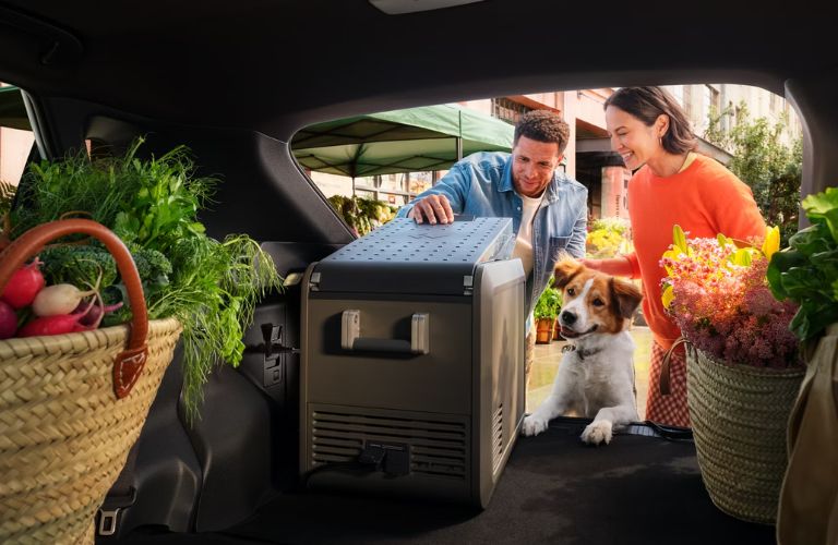 2026 Toyota bZ cargo space