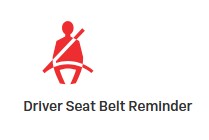 Driver Seat Belt Reminder