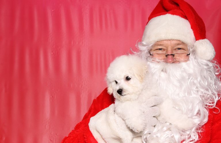 Santa Claus holding a dog