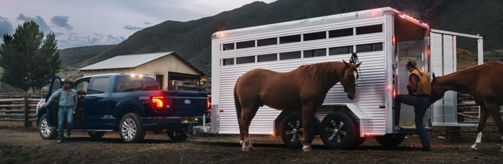 2026 Ford F-150 towing a horse trailer with a horse