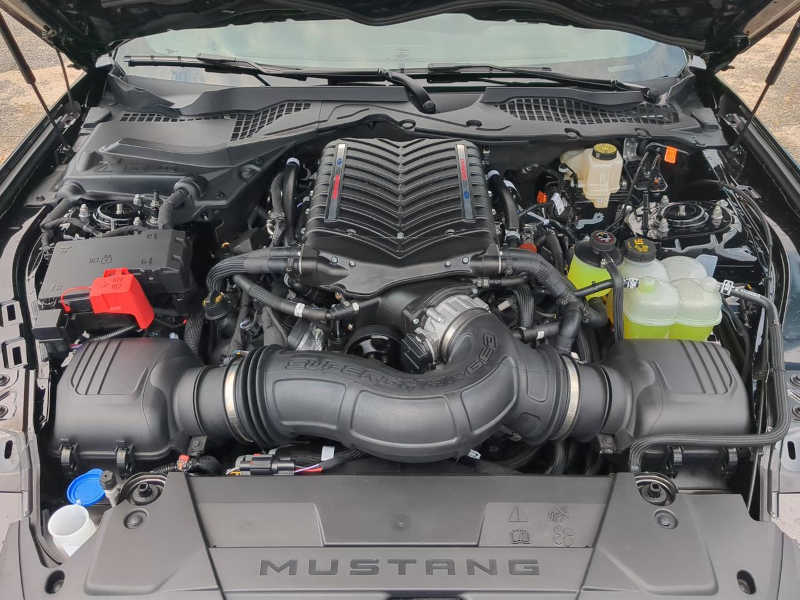 The supercharged 5 liter V8 Coyote engine in the 2026 Ford Mustang GT 5.0 created by Wild Willies