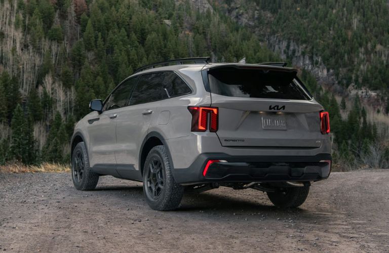 rear view of a Kia