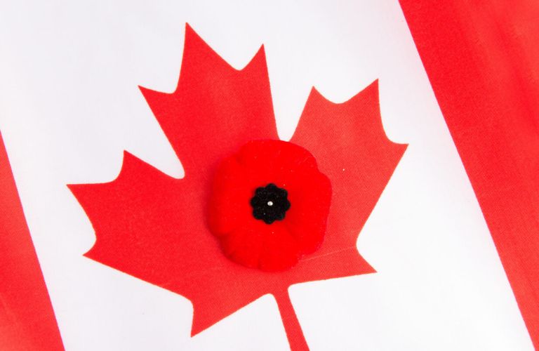 Remembrance Day image