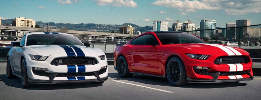 Want to Know What's in the Shelby GT 350 Owner Supplement Box?