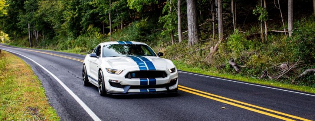 2020 Ford Mustang GT350R Shelby on a forest road