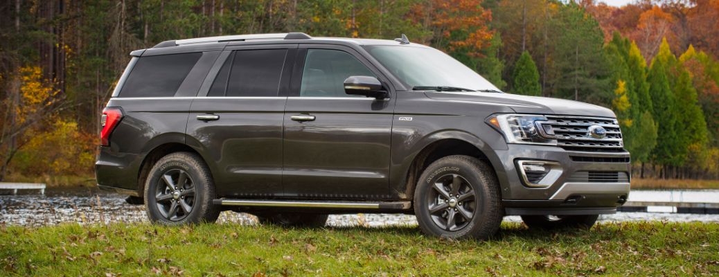 2020 Ford Expedition side view in grass
