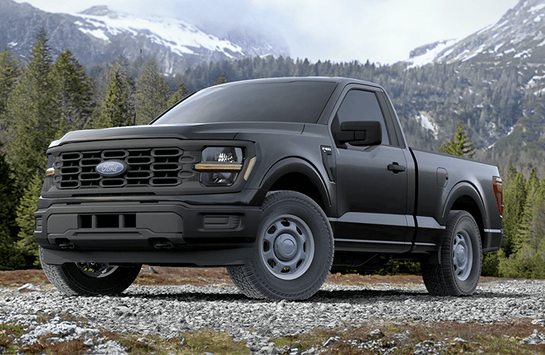 2024 Ford F-150 XL front view in black