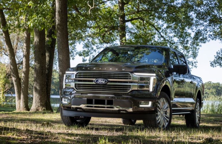2024 Ford F-150 Platinum front view in a forest