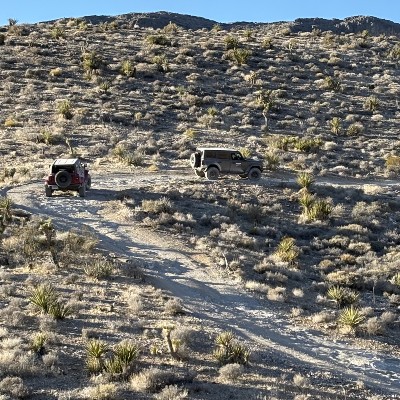 Bronco Off-Roadeo vehicles on a trail