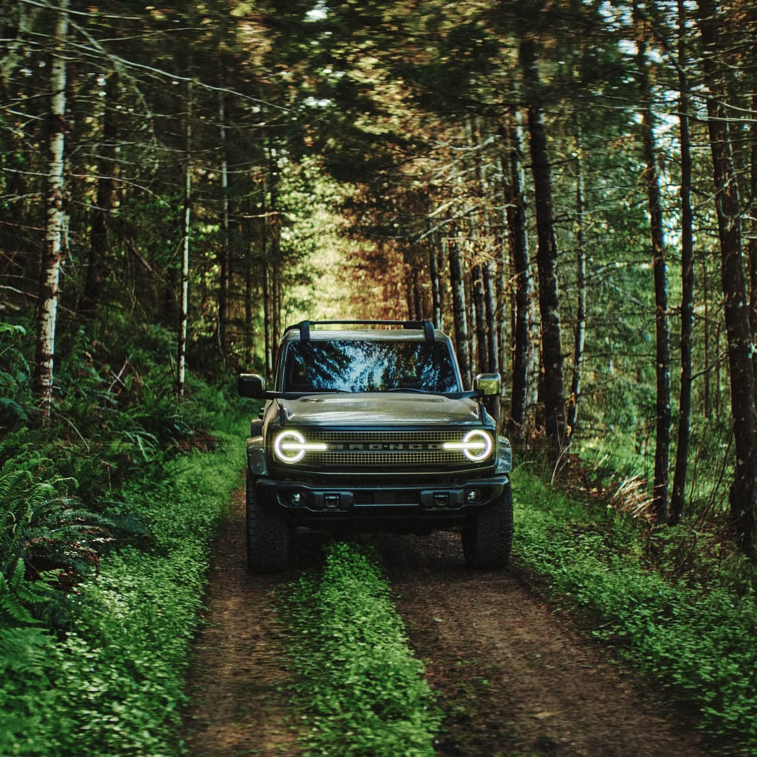 Bronco Filson travelling off-road on forest dirt road, Pre-production model