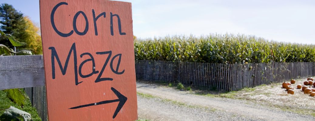 Corn maze sign
