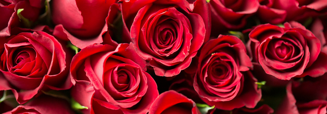 What are the best romantic restaurants near Brainerd MN?