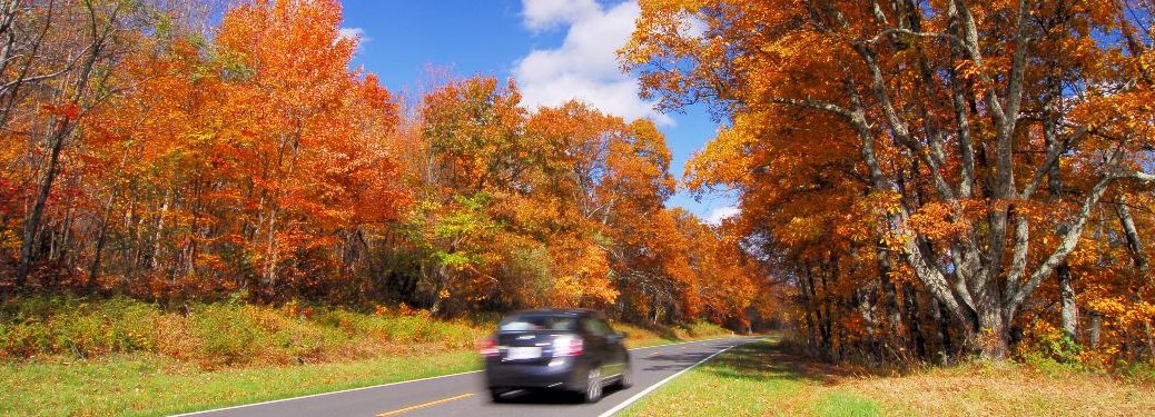 A car zooms through a beautiful autumn environment