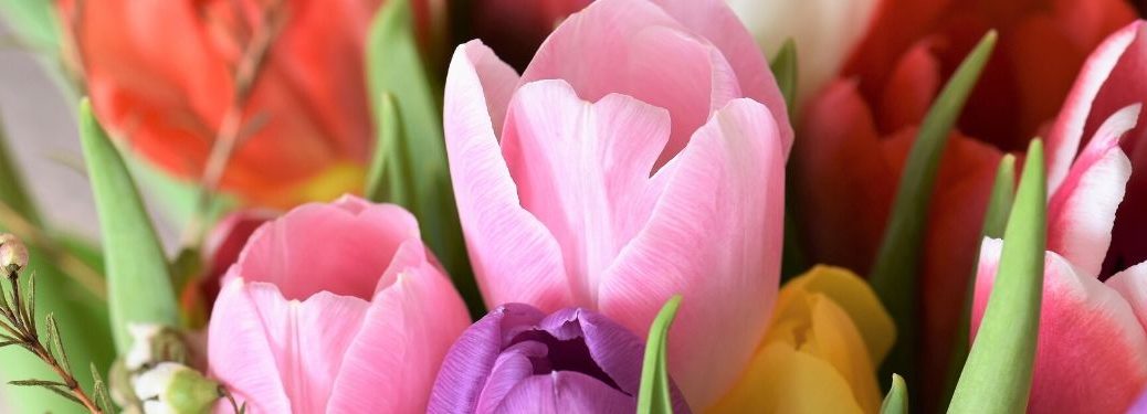 Close-up image of a multitude of colorful flowers. Mom would probably love them.