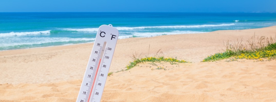 Do you have any plans yet for the summer? We have some thoughts!