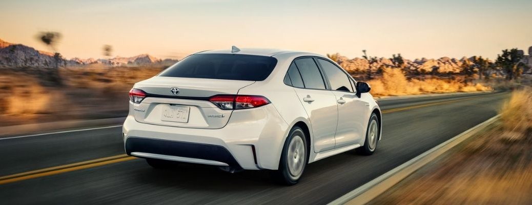 Rear view of a white 2021 Toyota Corolla