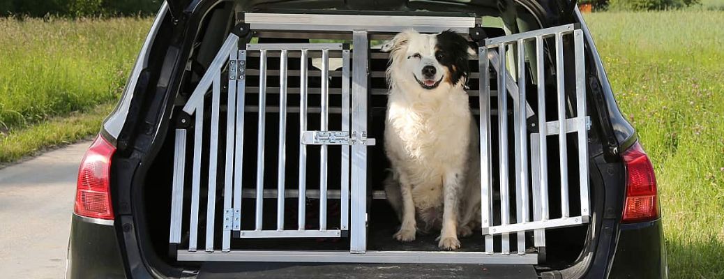 A dog safely secured in a crate in the back of an SUV