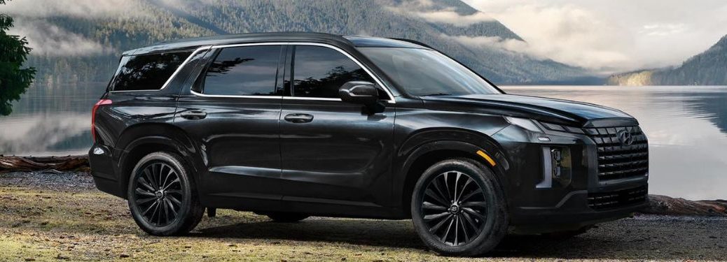 2024 Hyundai Palisade side view
