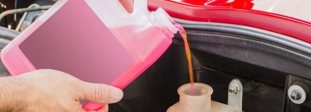 Technician pouring fluid