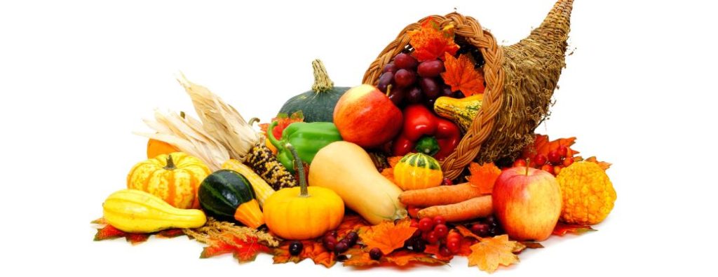 food on a white background