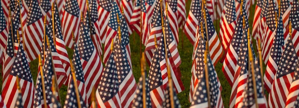 American Flags in a Cemetery