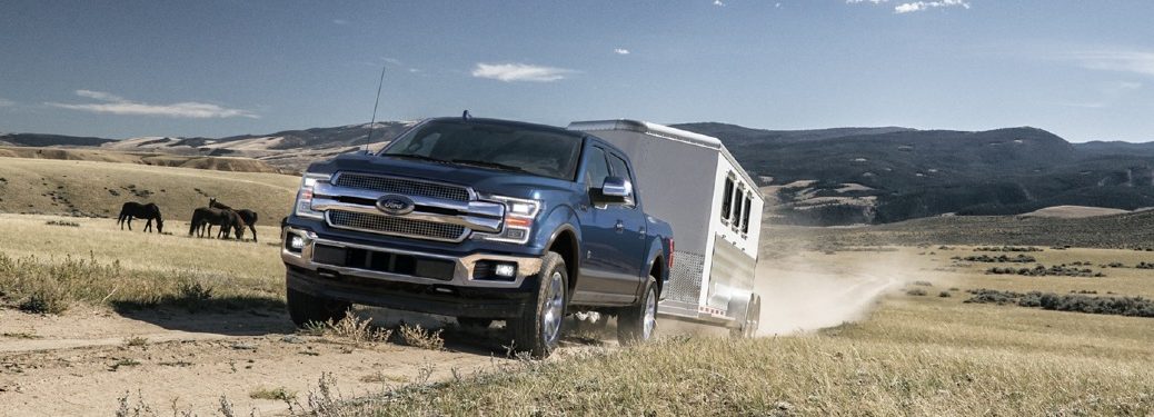 2020 F-150 pulling a livestock trailer