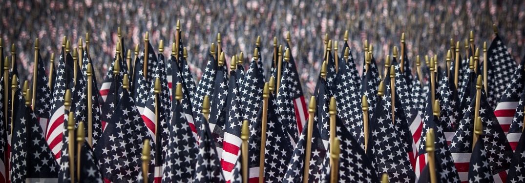 A large amount of American flags
