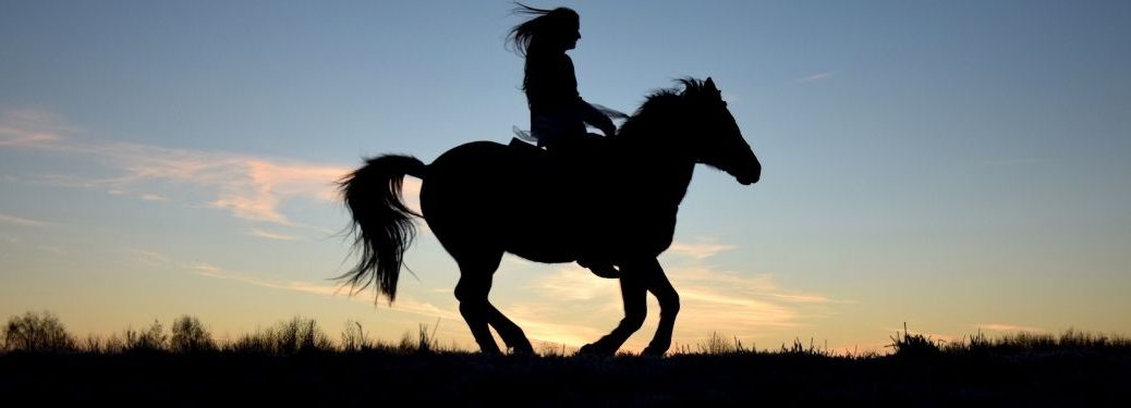 Silhouette of horse and rider on sunset